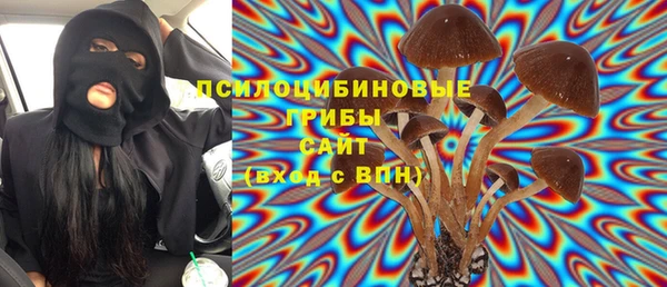 гашик Михайловск