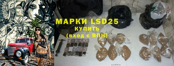 гашик Михайловск