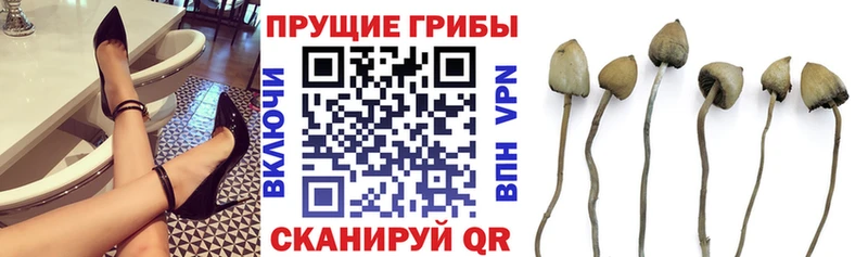 Купить где  Ковылкино  Галлюциногенные грибы прущие грибы 
